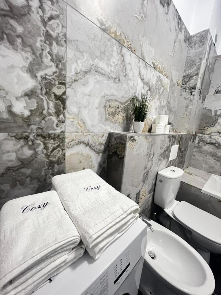 Luxury Cozy Apartments Suceava Extérieur photo