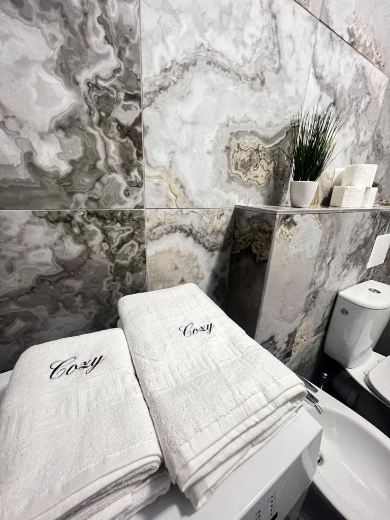 Luxury Cozy Apartments Suceava Extérieur photo